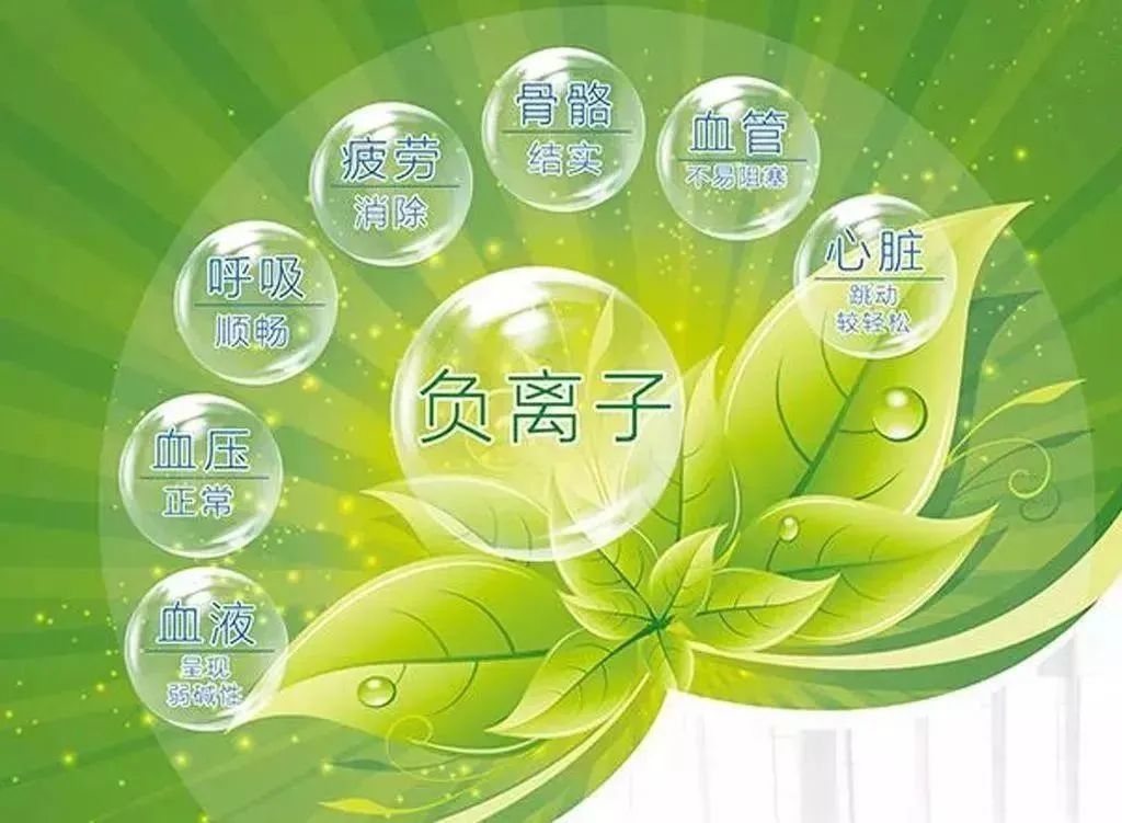1-22040Q33541349.jpg