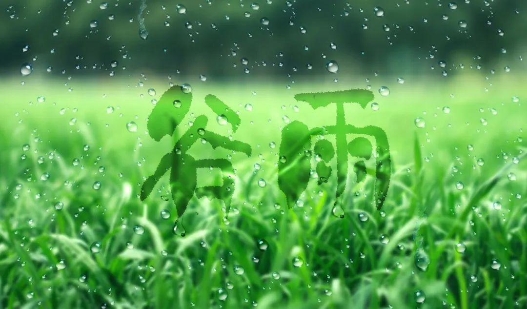 补阳气、祛寒湿——达圆邦6D磁浮床垫(图1) 1-22050G10440955.jpg